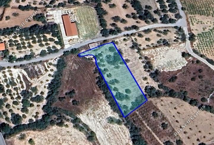 land for sale silikou limassol 1545699 image 5865113