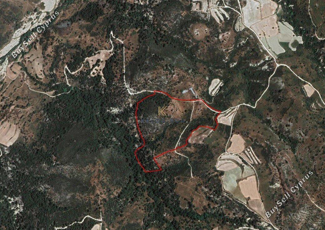 land for sale dora limassol 1194799 image 5570721