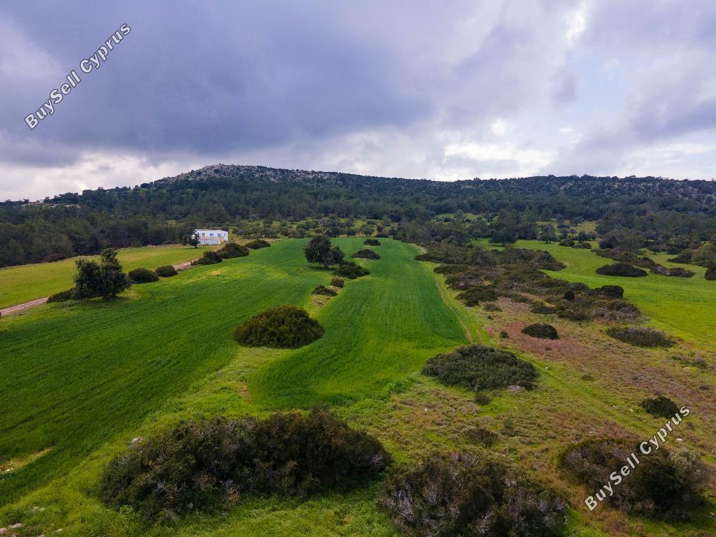 land for sale neo chorio paphos 945799 image 15600322
