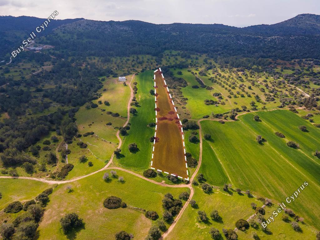 land for sale neo chorio paphos 945799 image 15600324