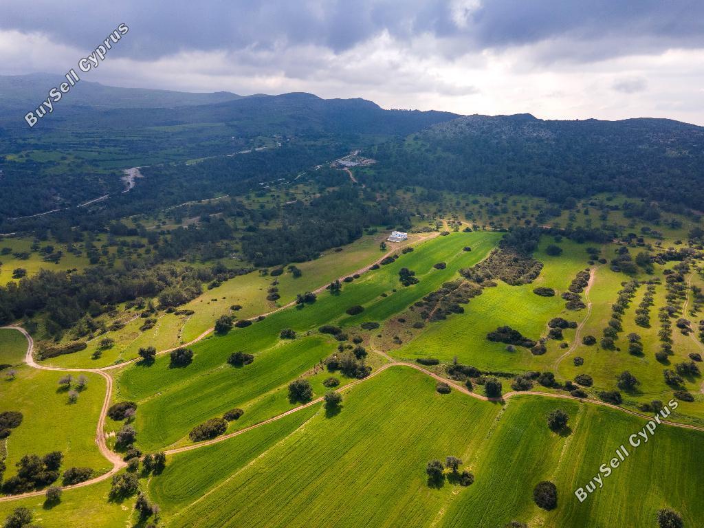 land for sale neo chorio paphos 945799 image 15600325