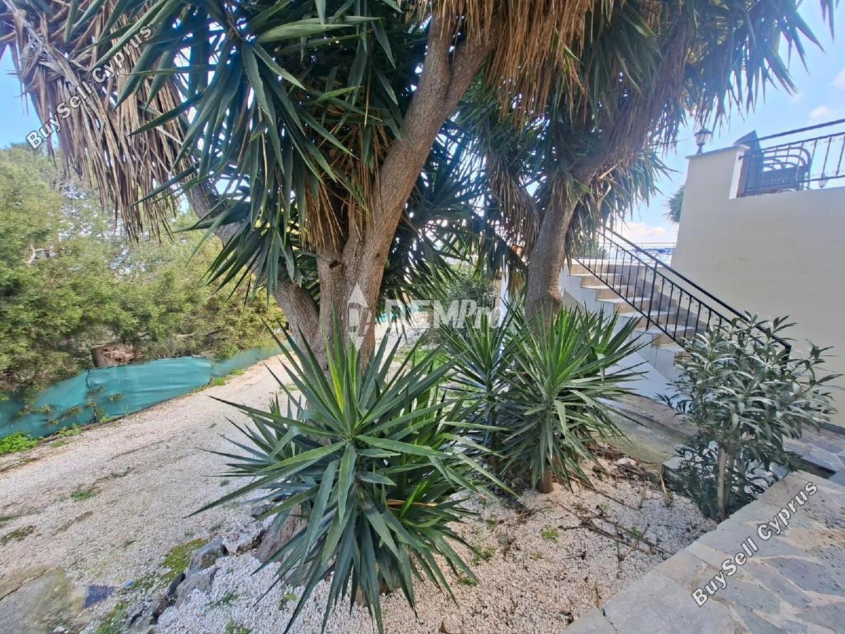 3 bedroom detached house for rent drousia paphos 8306899 image 16650714