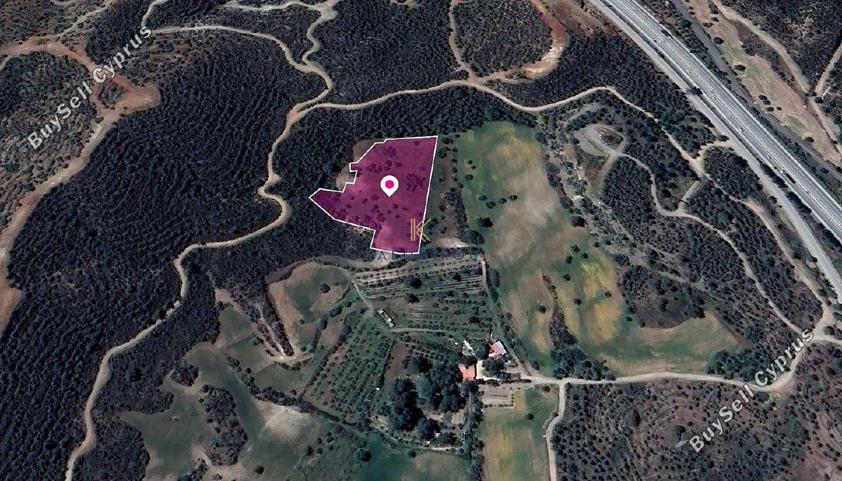 land for sale kofinou larnaca 1649899 image 5662097