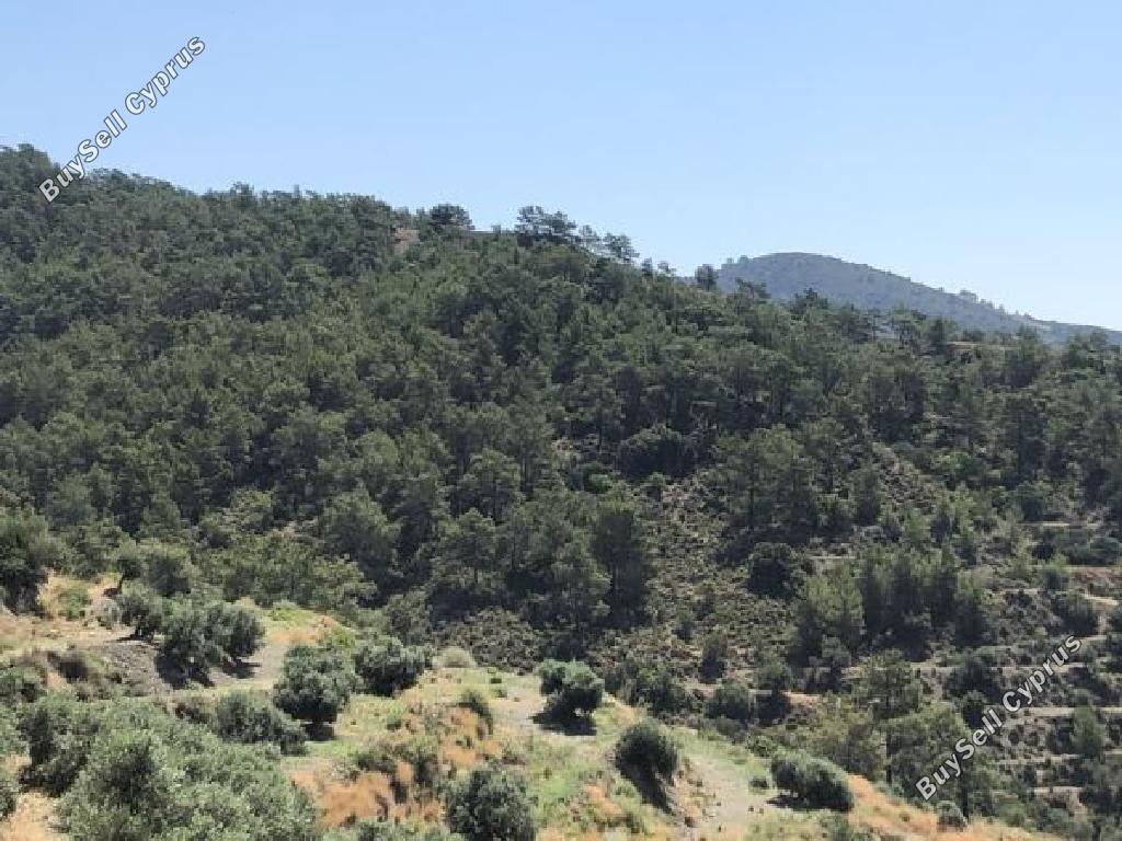 land for sale vavatsinia larnaca 945899 image 14933107