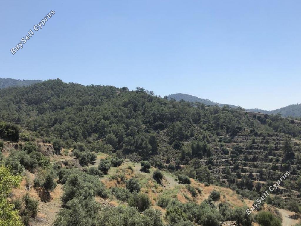 land for sale vavatsinia larnaca 945899 image 14933111