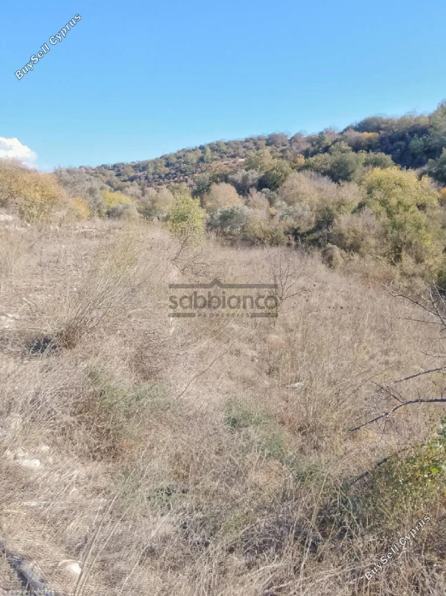 plot for sale simou paphos 8748899 image 16469701