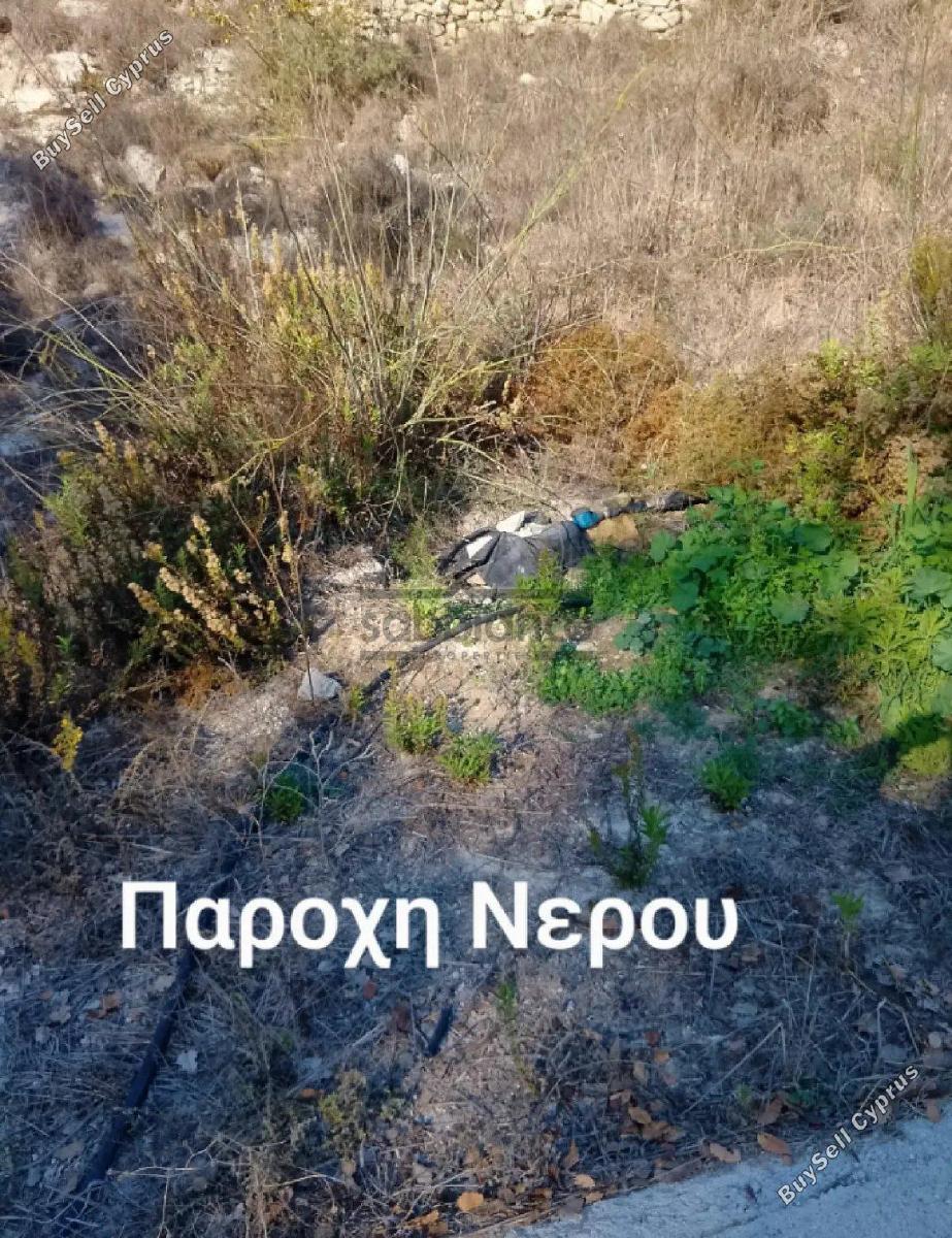 plot for sale simou paphos 8748899 image 16469703