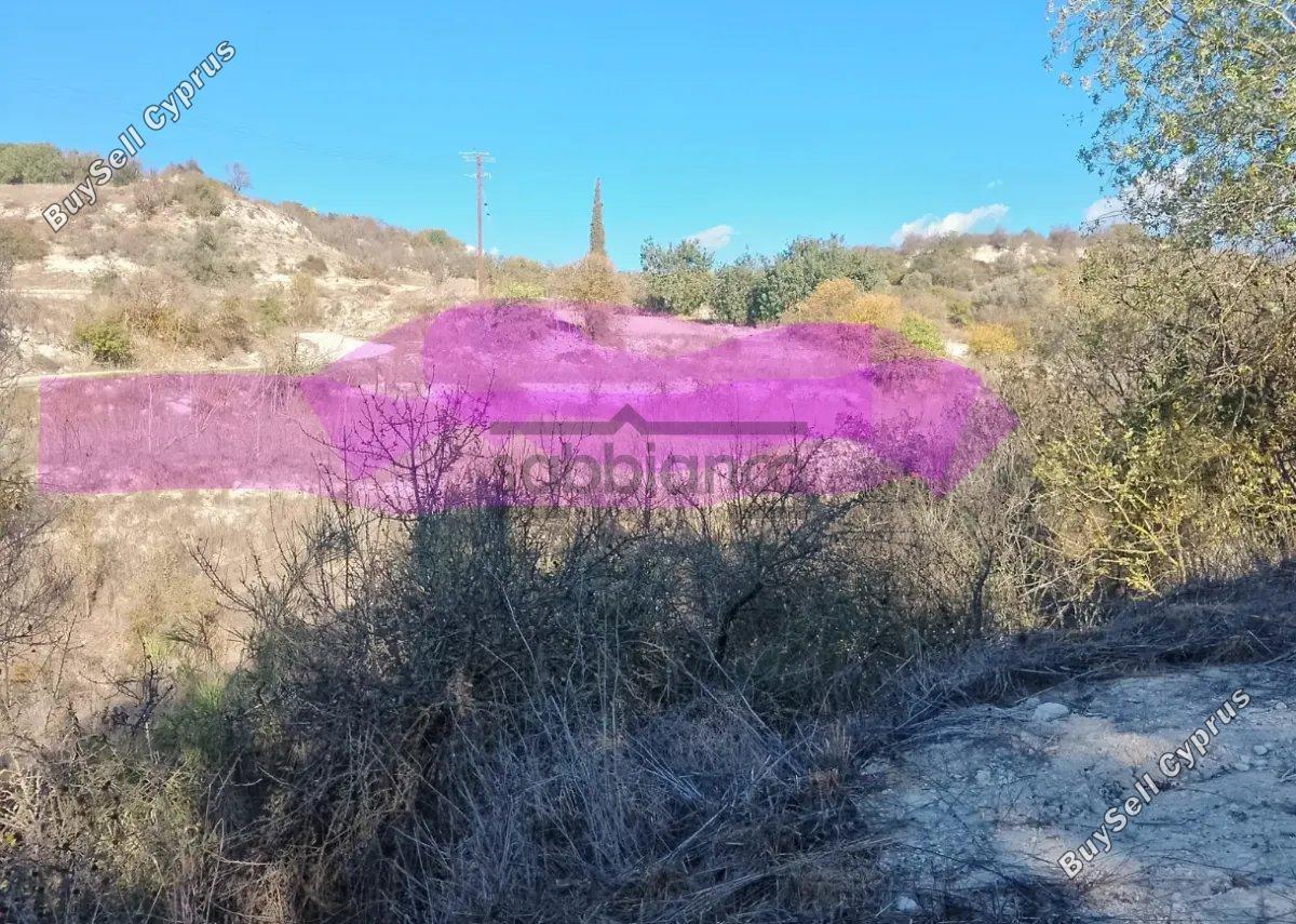plot for sale simou paphos 8748899 image 16469705