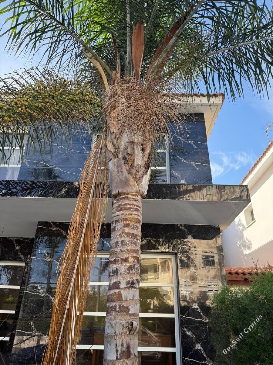 3 bedroom semi detached house for sale linopetra limassol 1678999 image 5126688