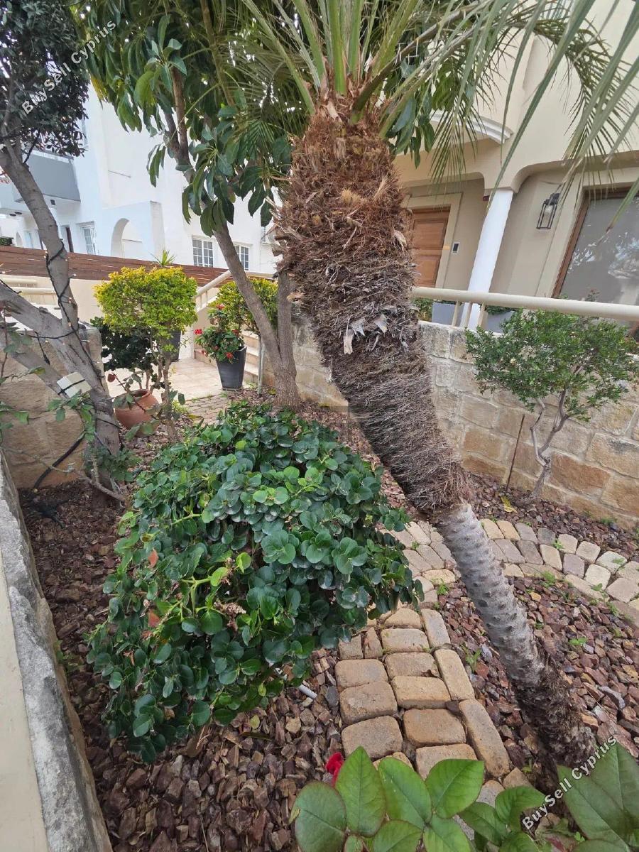 4 bedroom detached house for sale potamos germasogeias limassol 8747999 image 16459630