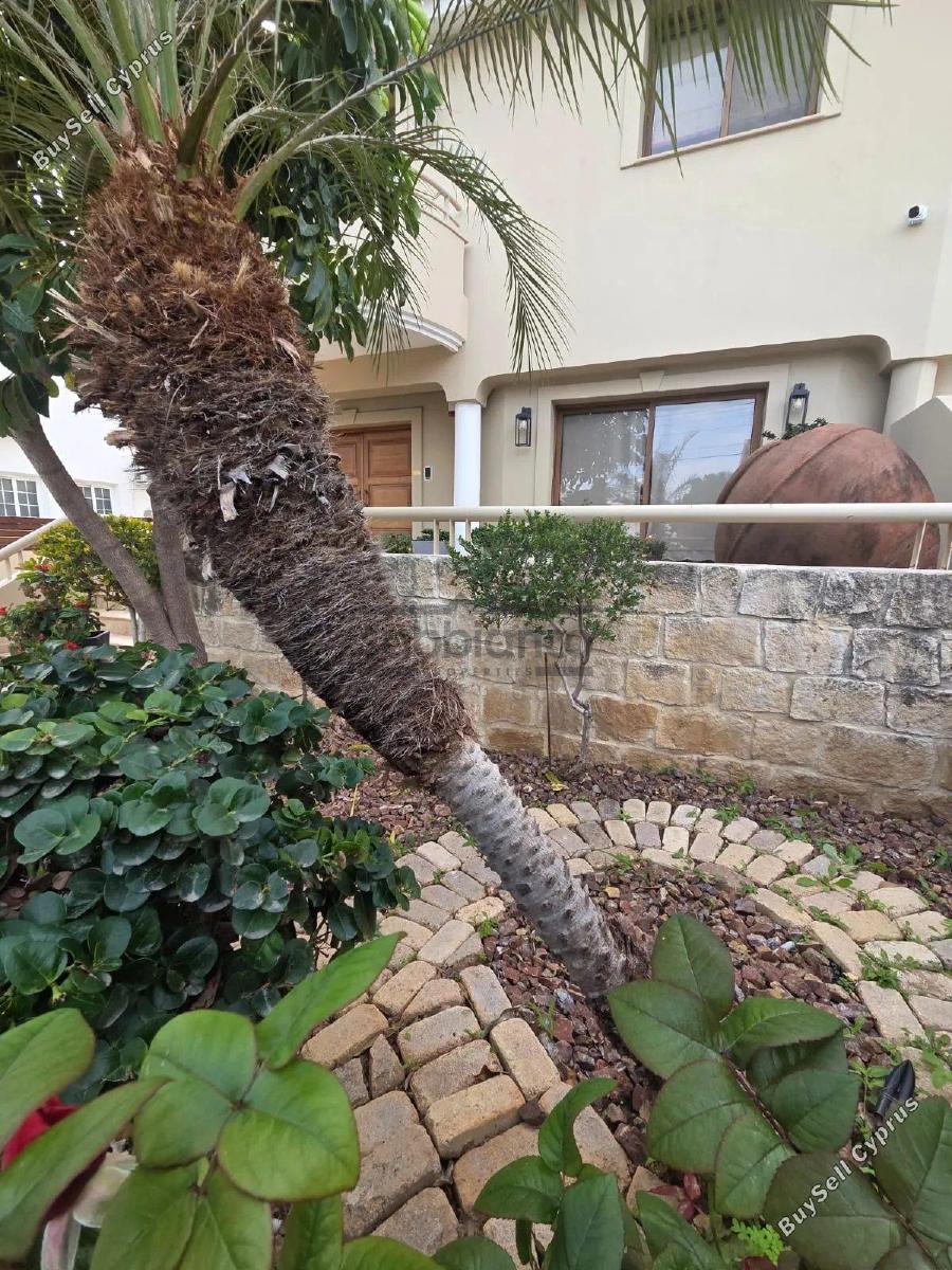 4 bedroom detached house for sale potamos germasogeias limassol 8747999 image 16459636