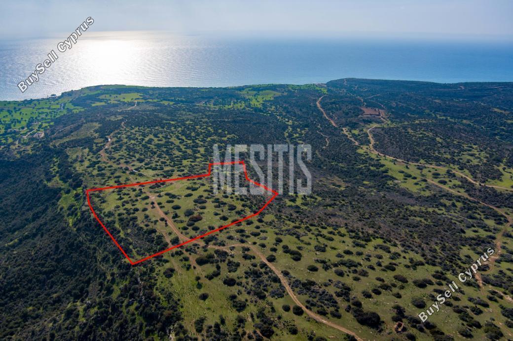 plot for sale pissouri limassol 975999 image 10480154