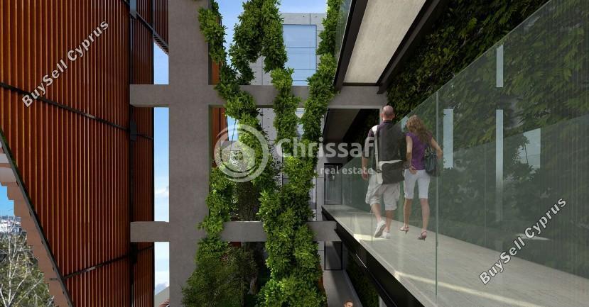 studio commercial building for rent limassol municipality limassol 8151999 image 17386469