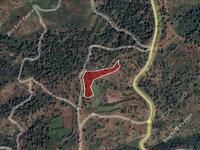 land for sale pano pyrgos nicosia 946200 image 6845385