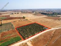 land for sale avgorou famagusta 949110 image 2655692