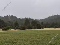 land for sale mitsero nicosia 8629040 image 15864961