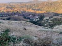land for sale pano pyrgos nicosia 1674240 image 4324201