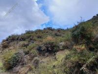 land for sale kato pyrgos nicosia 946440 image 7341367