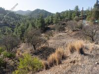 land for sale xyliatos nicosia 946270 image 2988154