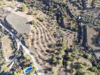 land for sale xyliatos nicosia 946270 image 2988163