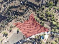 land for sale xyliatos nicosia 946270 image 2988166