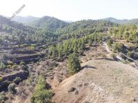 land for sale xyliatos nicosia 946270 image 2988171