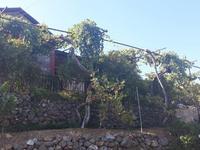 2 bedroom detached house for sale prodromos limassol 1545690 image 16840086