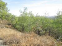 plot for sale kornos larnaca 831101 image 13826750