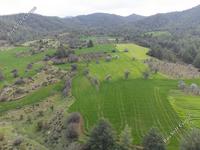 land for sale klirou nicosia 1037211 image 15600736