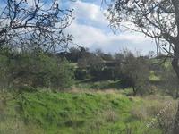 land for sale pigenia nicosia 946211 image 7339562