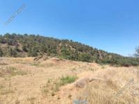 land for sale agios theodoros soleas nicosia 1819121 image 16512180