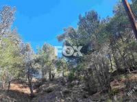 land for sale moniatis limassol 1325341 image 16016218 land for sale moniatis limassol 1325341 image 16016218
