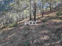 land for sale moniatis limassol 1325341 image 16016224 land for sale moniatis limassol 1325341 image 16016224