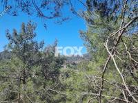 land for sale moniatis limassol 1325341 image 16016237 land for sale moniatis limassol 1325341 image 16016237
