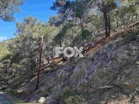 land for sale moniatis limassol 1325341 image 16964060