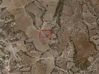 land for sale mazotos larnaca 830941 image 13257452