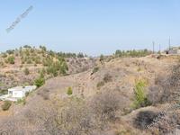 land for sale xyliatos nicosia 971051 image 3340420