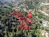 land for sale kakopetria nicosia 1638661 image 4154956