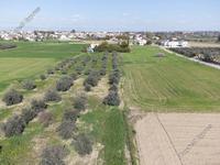 land for sale ergates nicosia 1020771 image 3410728