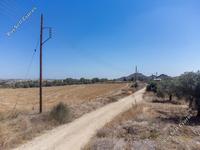 land for sale analiontas nicosia 1145581 image 3341021