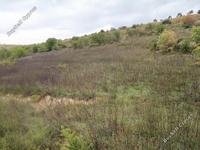 land for sale mitsero nicosia 7741191 image 10242652
