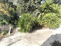 3 bedroom detached house for sale tsada paphos 8395391 image 16535365