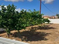 3 bedroom detached house for sale arediou nicosia 1562691 image 16162597