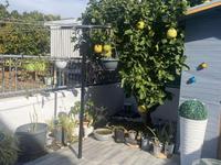 1 bedroom semi detached house for sale ypsonas limassol 1867791 image 6887964 1 bedroom semi detached house for sale ypsonas limassol 1867791 image 6887964
