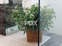 6 bedroom detached house for sale germasogeia limassol 8521112 image 16022382