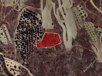 land for sale pera orinis nicosia 1174712 image 16700602 land for sale pera orinis nicosia 1174712 image 16700602
