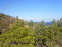 land for sale pigenia nicosia 946222 image 6818533