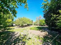 3 bedroom linked detached house for sale pano arodes paphos 8755332 image 16513482
