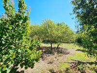 3 bedroom linked detached house for sale pano arodes paphos 8755332 image 16513488