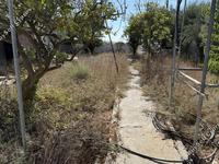 3 bedroom detached house for sale kiti larnaca 8623042 image 15836885